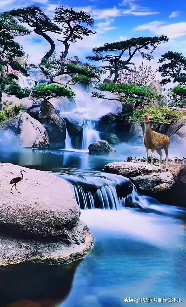 拯救树屋中的女孩